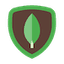 mongodb